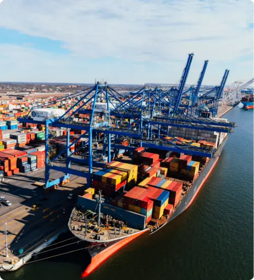 International Trade Advisory